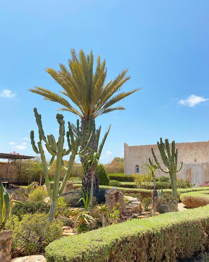 אסאוירה Maison Mimosa, Lovely 3 Bedroom Villa With A Large Pool מראה חיצוני תמונה