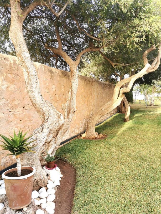 אסאוירה Maison Mimosa, Lovely 3 Bedroom Villa With A Large Pool מראה חיצוני תמונה